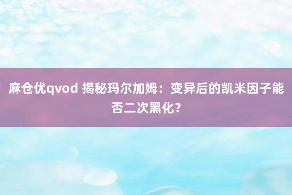 麻仓优qvod 揭秘玛尔加姆：变异后的凯米因子能否二次黑化？