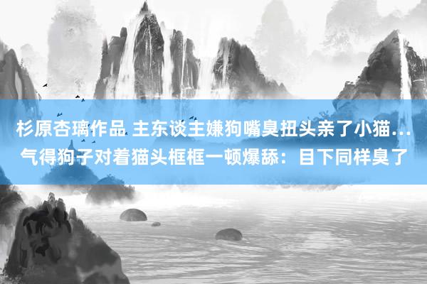 杉原杏璃作品 主东谈主嫌狗嘴臭扭头亲了小猫…气得狗子对着猫头框框一顿爆舔：目下同样臭了