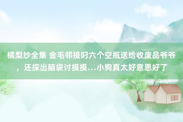 橘梨纱全集 金毛邻接叼六个空瓶送给收废品爷爷，还探出脑袋讨摸摸…小狗真太好意思好了