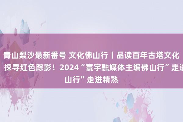 青山梨沙最新番号 文化佛山行丨品读百年古塔文化故事、探寻红色踪影！2024“寰宇融媒体主编佛山行”走进精熟