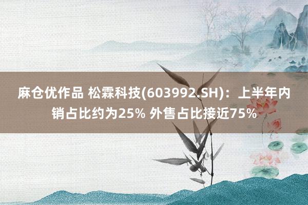 麻仓优作品 松霖科技(603992.SH)：上半年内销占比约为25% 外售占比接近75%