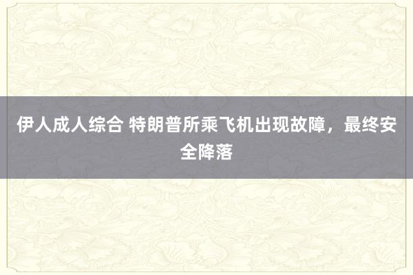 伊人成人综合 特朗普所乘飞机出现故障，最终安全降落