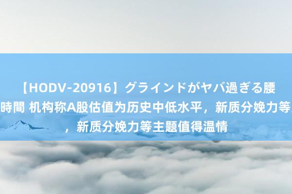 【HODV-20916】グラインドがヤバ過ぎる腰振り騎乗位 4時間 机构称A股估值为历史中低水平，新质分娩力等主题值得温情