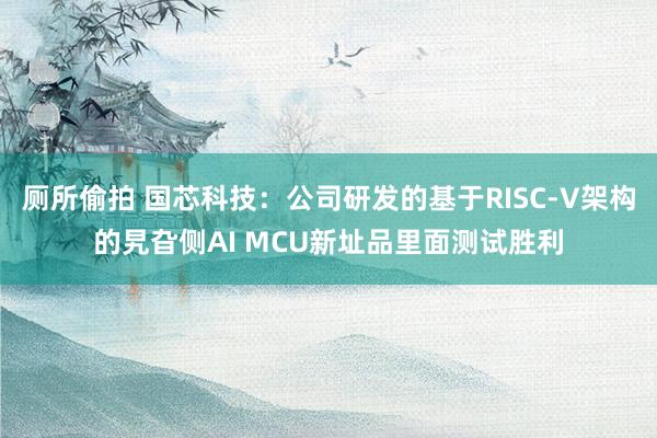 厕所偷拍 国芯科技：公司研发的基于RISC-V架构的旯旮侧AI MCU新址品里面测试胜利