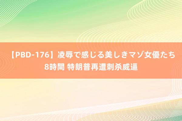 【PBD-176】凌辱で感じる美しきマゾ女優たち8時間 特朗普再遭刺杀威逼