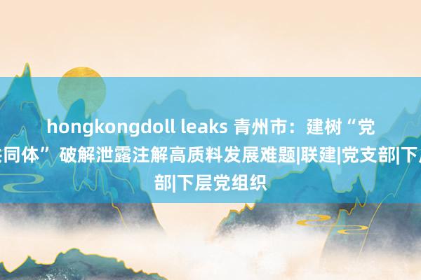 hongkongdoll leaks 青州市：建树“党建和会共同体” 破解泄露注解高质料发展难题|联建|党支部|下层党组织