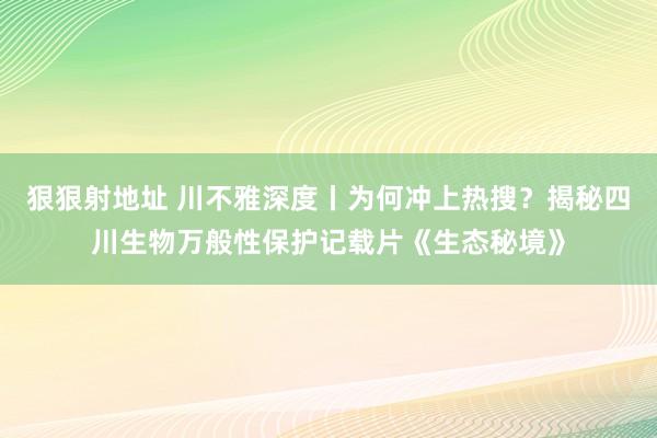 狠狠射地址 川不雅深度丨为何冲上热搜？揭秘四川生物万般性保护记载片《生态秘境》