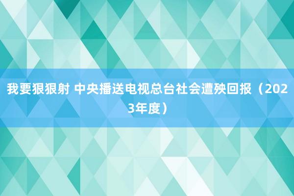 我要狠狠射 中央播送电视总台社会遭殃回报（2023年度）